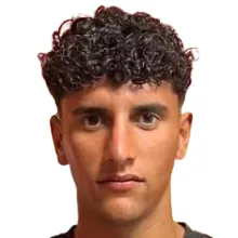 G. Ponticelli