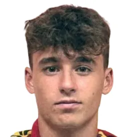 M. Valori