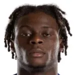 L. Ugochukwu