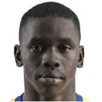 M. N'Diaye