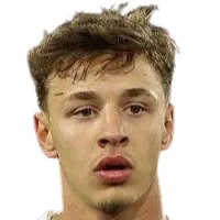 A. Ibragimov