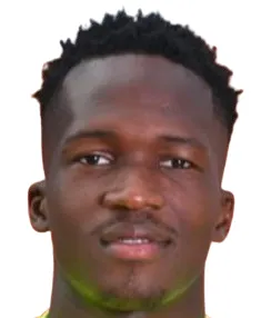 K. Kamdem Kamgaing