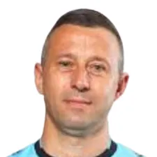 Mihai Ovidiu Artene