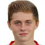 K. van den Hoek