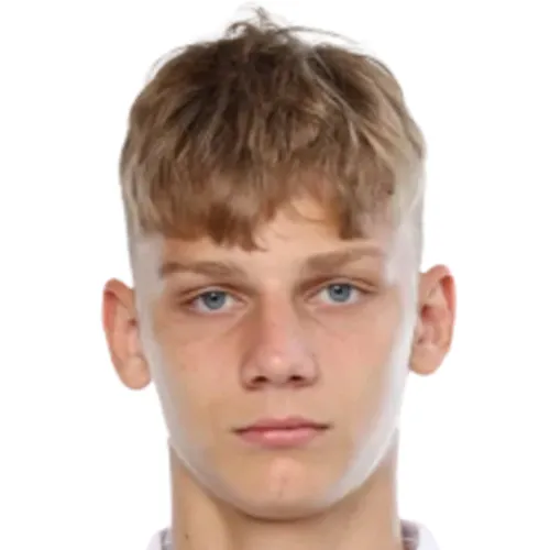 V. Pospelov