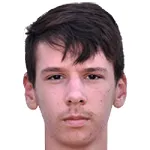 A. Dizdarevic