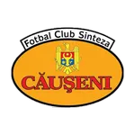 Sinteza Căuşeni