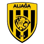 Aliağa FK