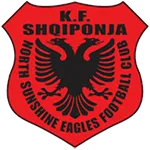 NSE
