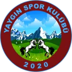 Yaygınspor