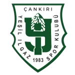 Yeşil Ilgazspor