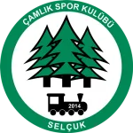Selçuk Çamlık