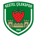 Kestel Çilekspor