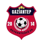 Beykentgücü 2014