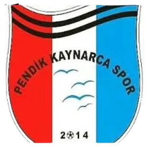 P. Kaynarcaspor