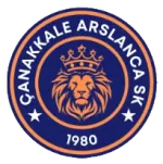 Arslancaspor