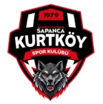Kurtköyspor