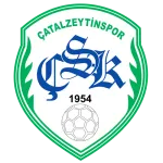 Çatalzeytinspor