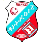 81 Ayyıldız