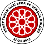 Ahmet T. Gazi