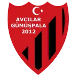 Gümüşpalaspor