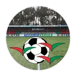 Zuidvogels