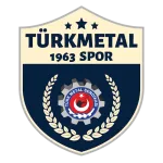 Hacettepe Türk Metal 1963