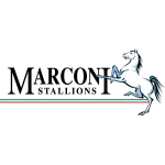 Stallions