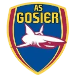Gosier