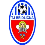 Bridlicna