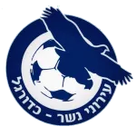 Ironi Nesher