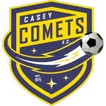 Comets
