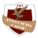 Borgosesia Calcio