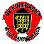 SVE Wald-Michelbach
