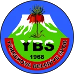 Yüksekovaspor (K)