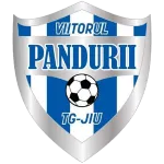 Viitorul P. Târgu Jiu
