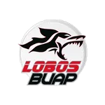 Lobos