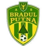 Bradul