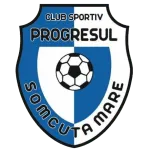 Șomcuta Mare