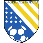 Agricola Borcea