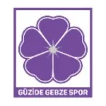 G.Gebzespor