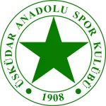 Üsküdar Anadolu