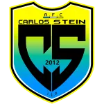 Carlos Stein