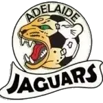 Jaguars (K)