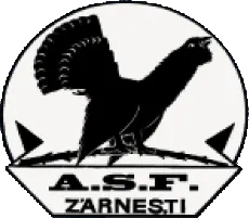 Olimpic Zărneşti