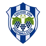 Tochigi City
