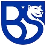 Union Brescia U19