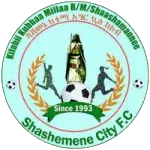 Shashemene Ketema