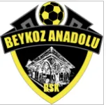 Beykoz Anadolu U19