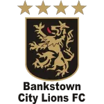 Bankstown U20